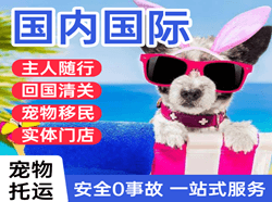 巴彦淖尔航空快运国际宠物托运 【国